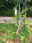 Ateliers Lingand 4